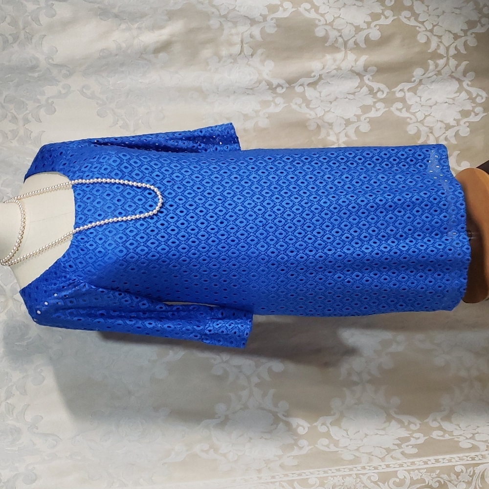 Rabbit Electric Blue Lace Dress Bell Sleeves